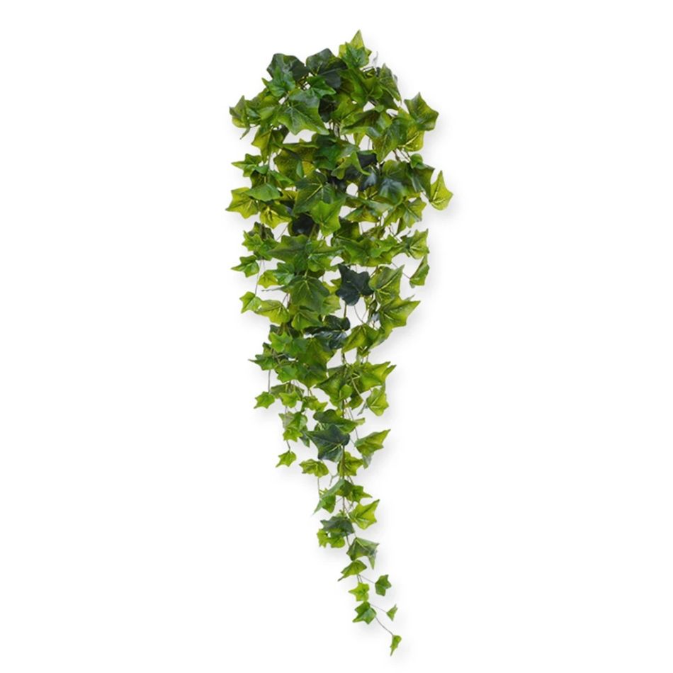 208008 hedera n 80 groen-1
