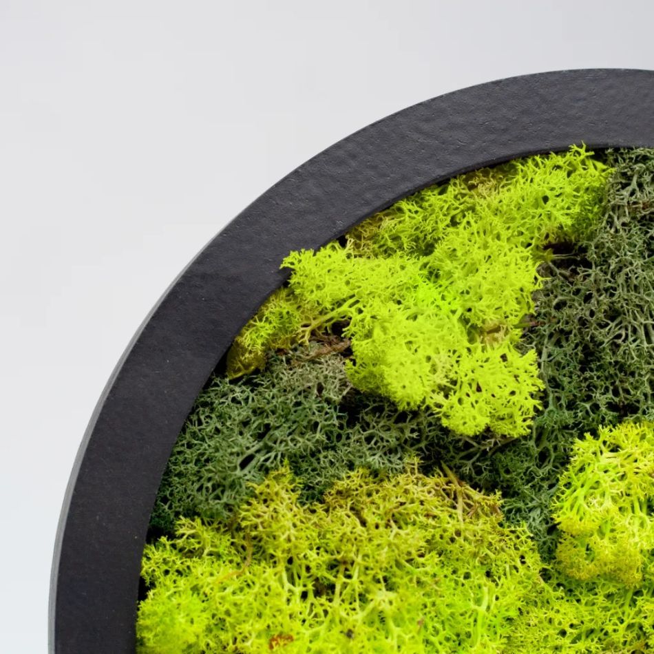 mosschilderij close up