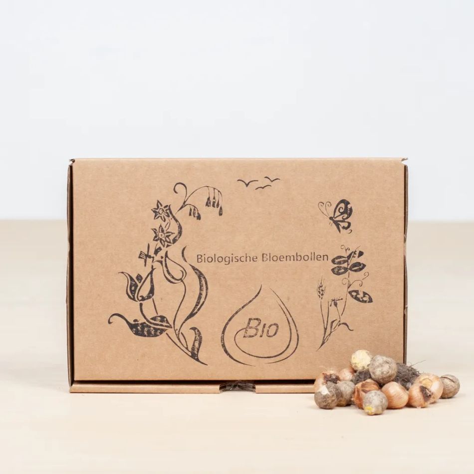 Biologische-bollen-brievenbuspakket-huiberts-plantje-1024-4-1 1