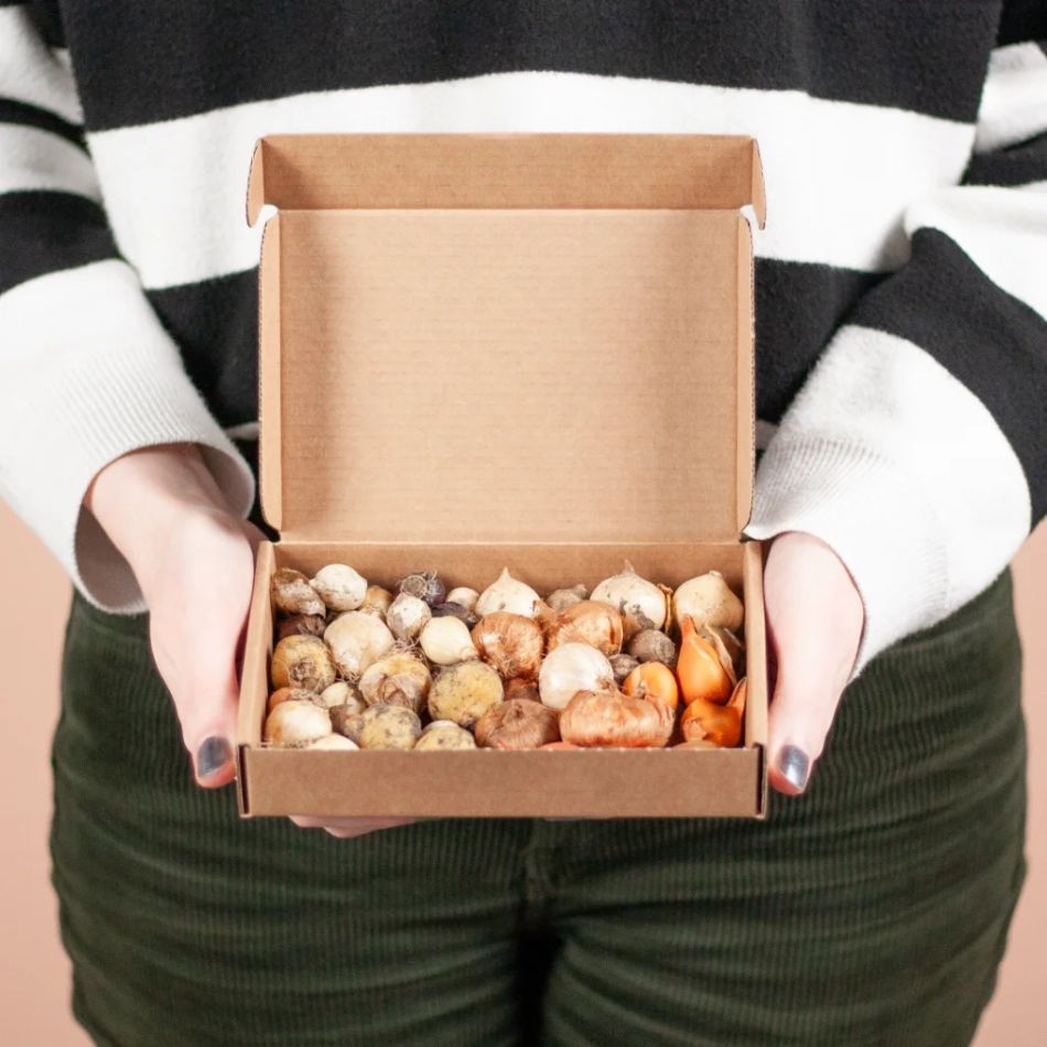 Bloembollen-biologische-zomermix-1024-1 1