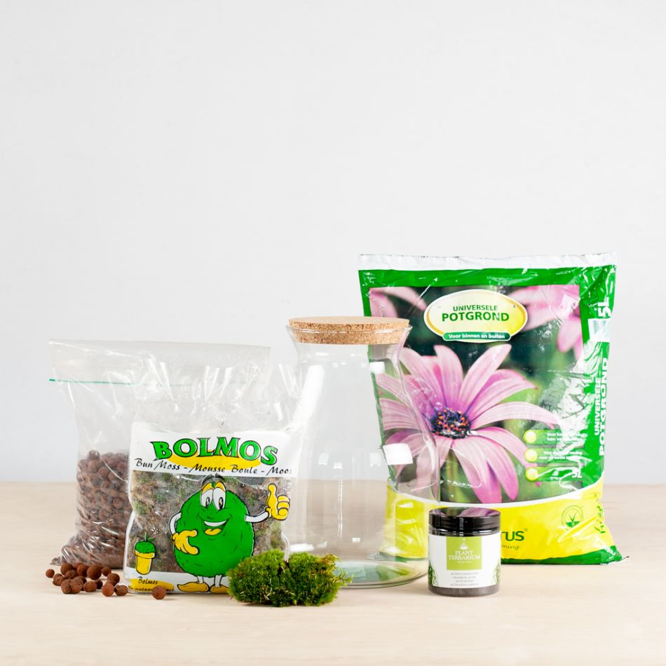 Planten terrarium kit