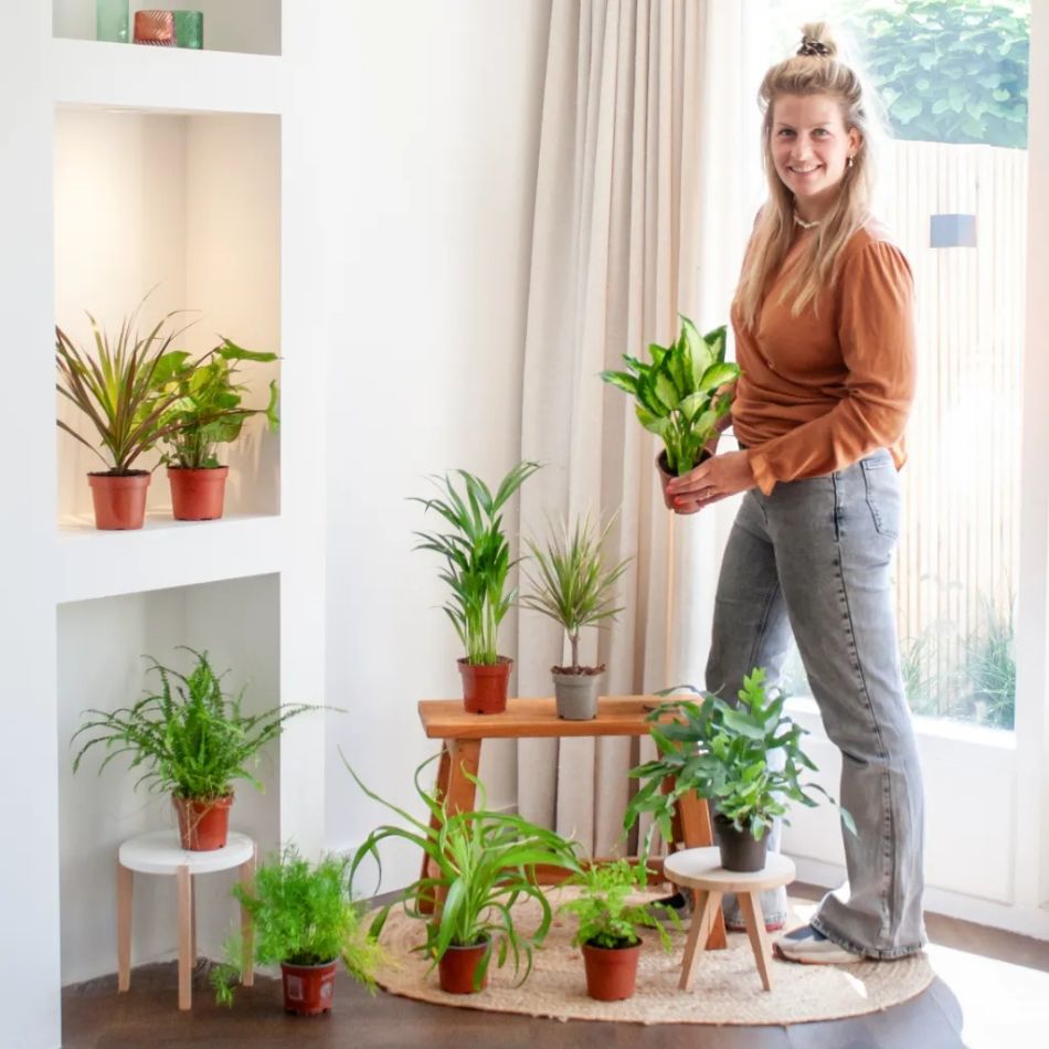 kneusjesbox 10 planten