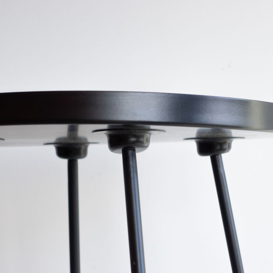 Plantentafel Maastricht - Zwart