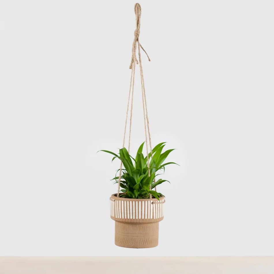 hangpot minneapolis keramiek