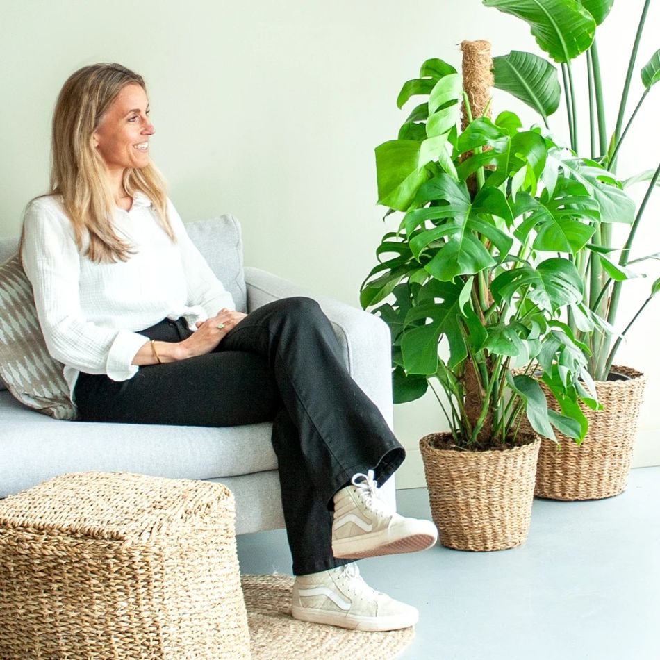 Monstera op mosstok kopen