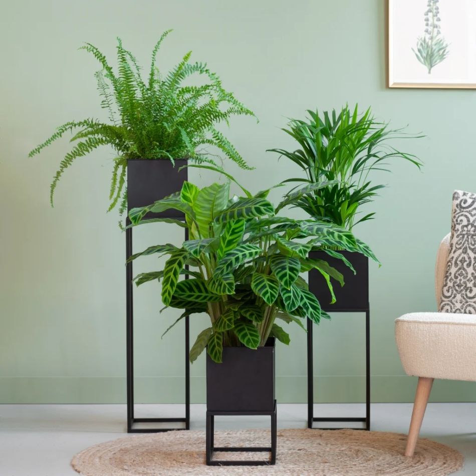 New-york-met-planten-sfeer-1024