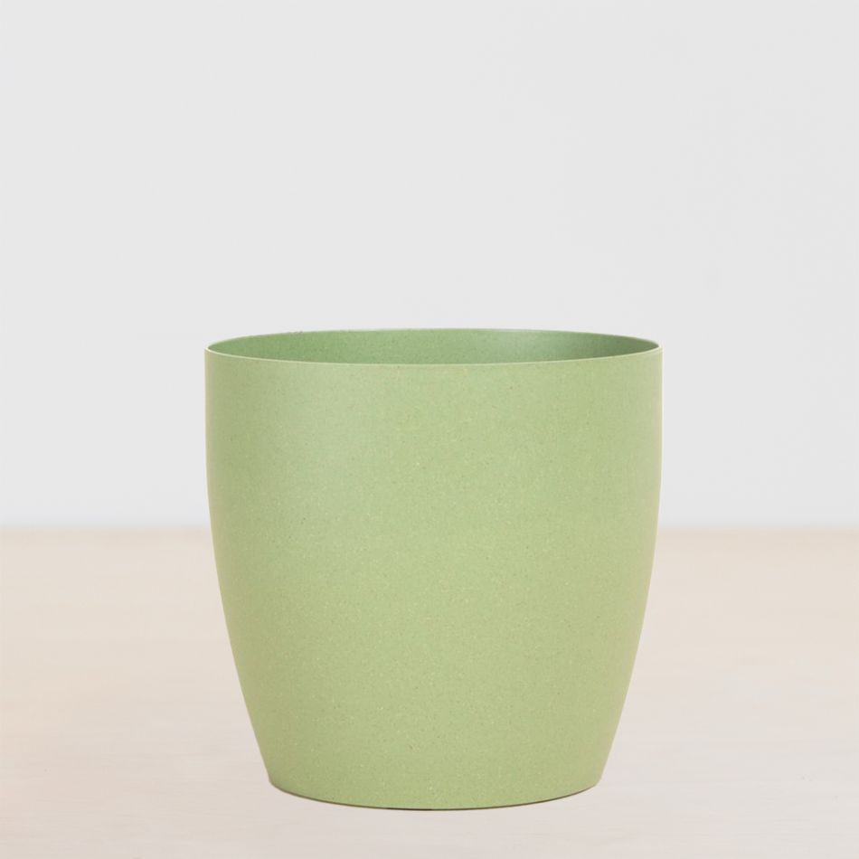 Oslo Groen
