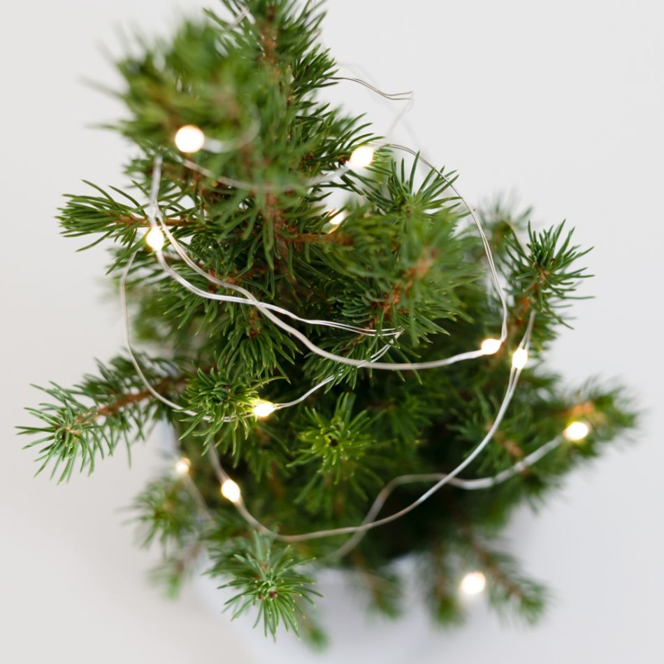 Kerstverlichting
