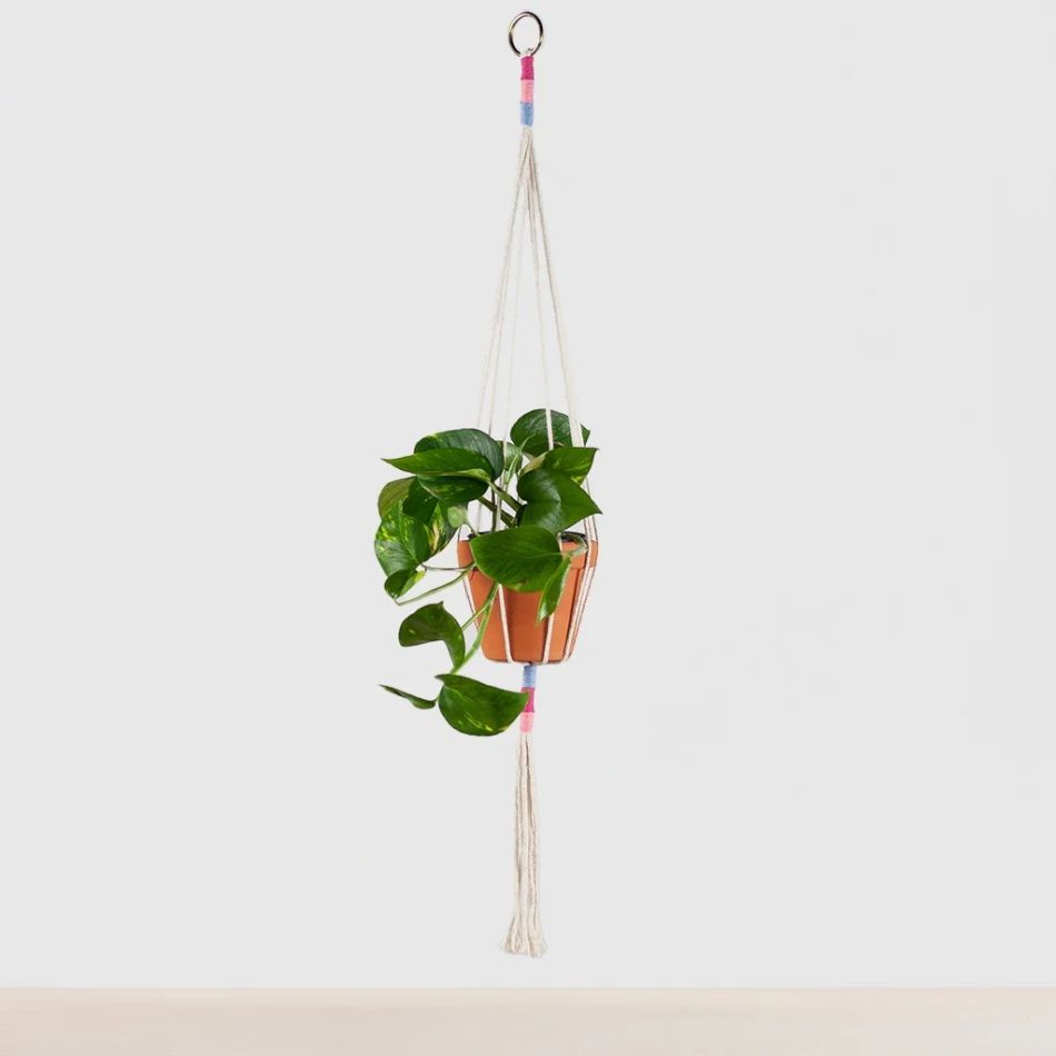 Macrame Roze