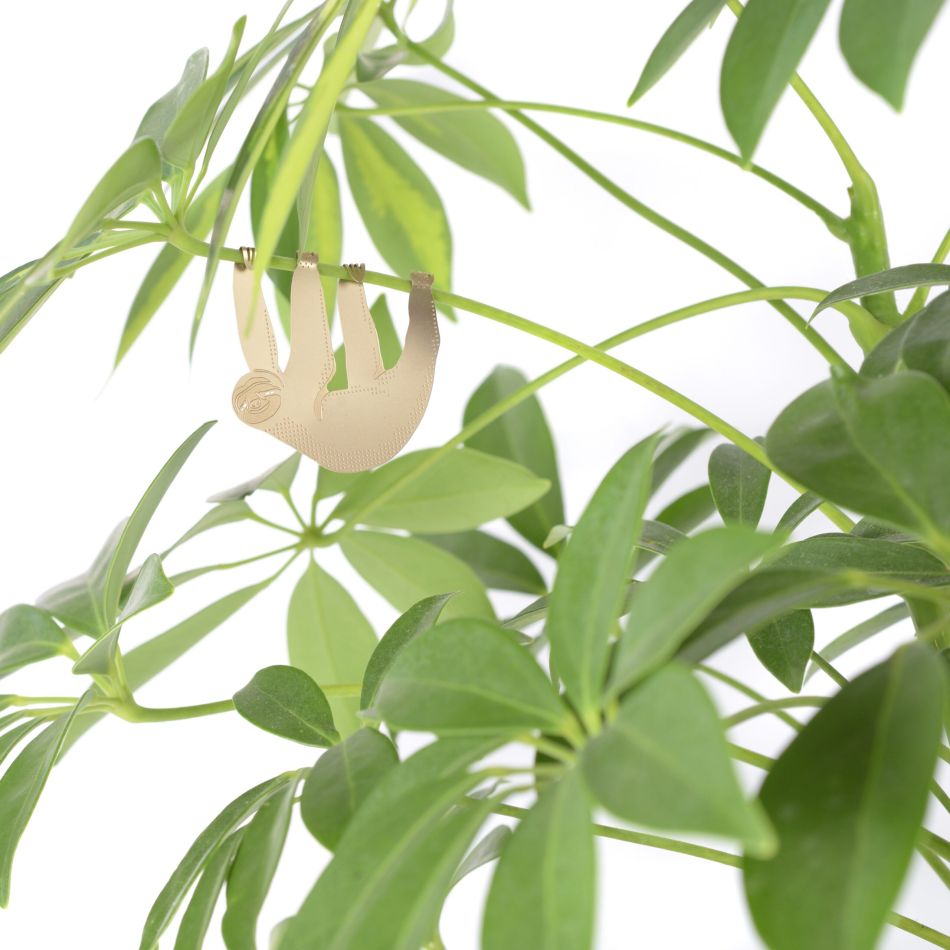 Sloth-plants-white-scaled