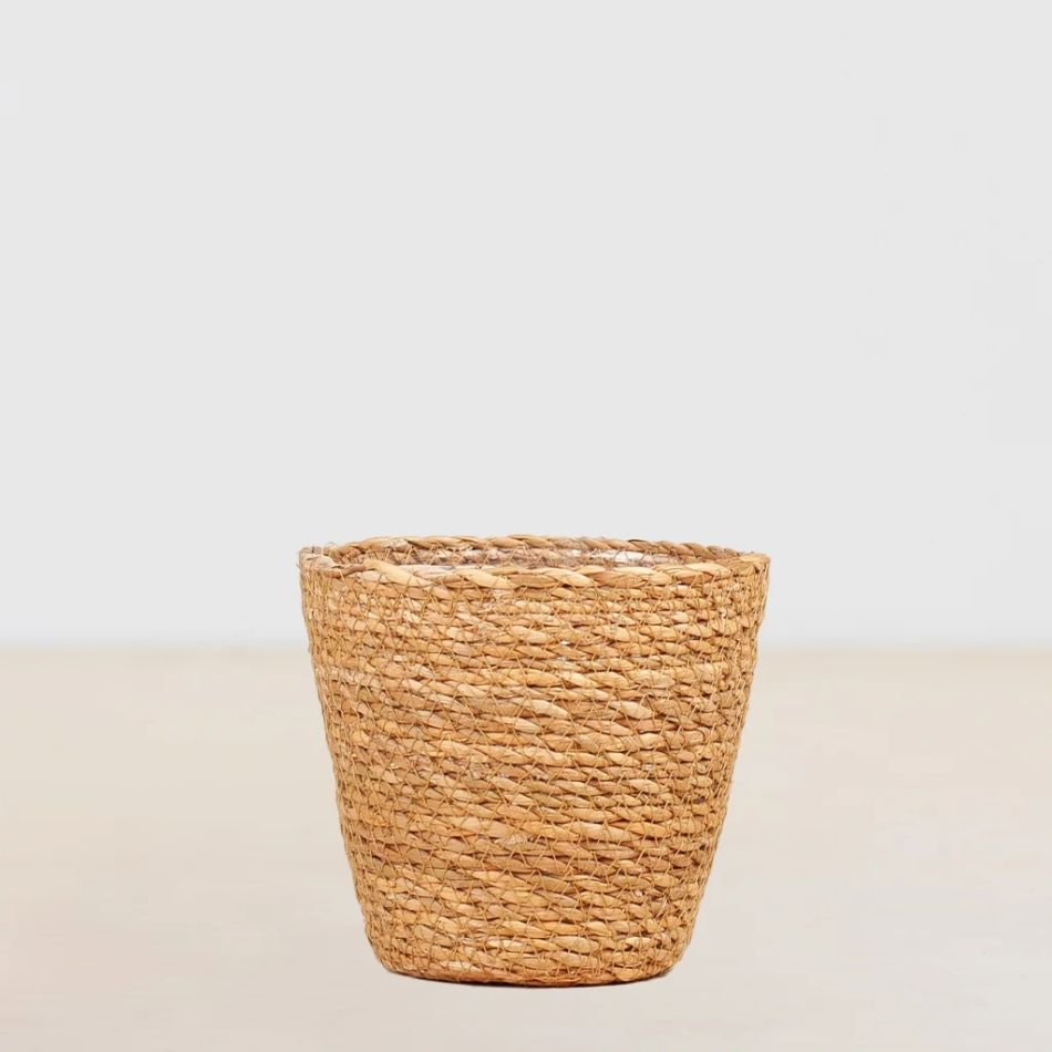 Sofia zeegras pot