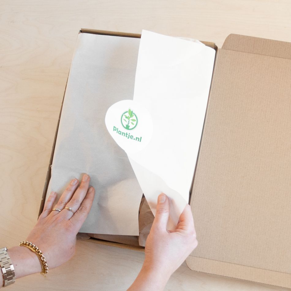 Stekjesbox inclusief minibags - 3 stuks