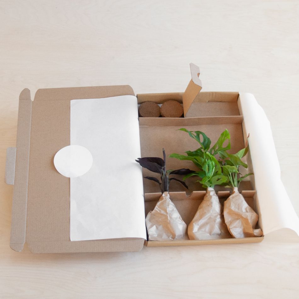 Stekjesbox