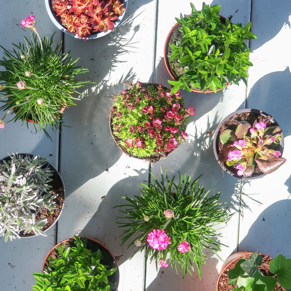 Tuin-kneusjes-box-6-scaled