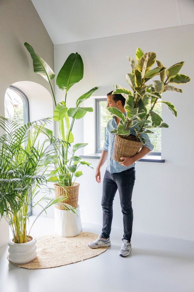 XL-planten-categorie-14-scaled