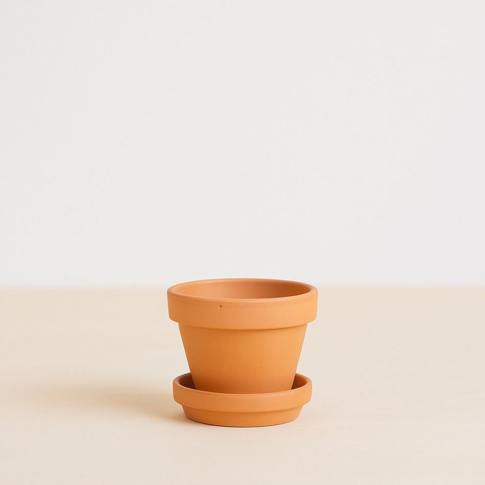 terrracotta pot voor kleine plantjes