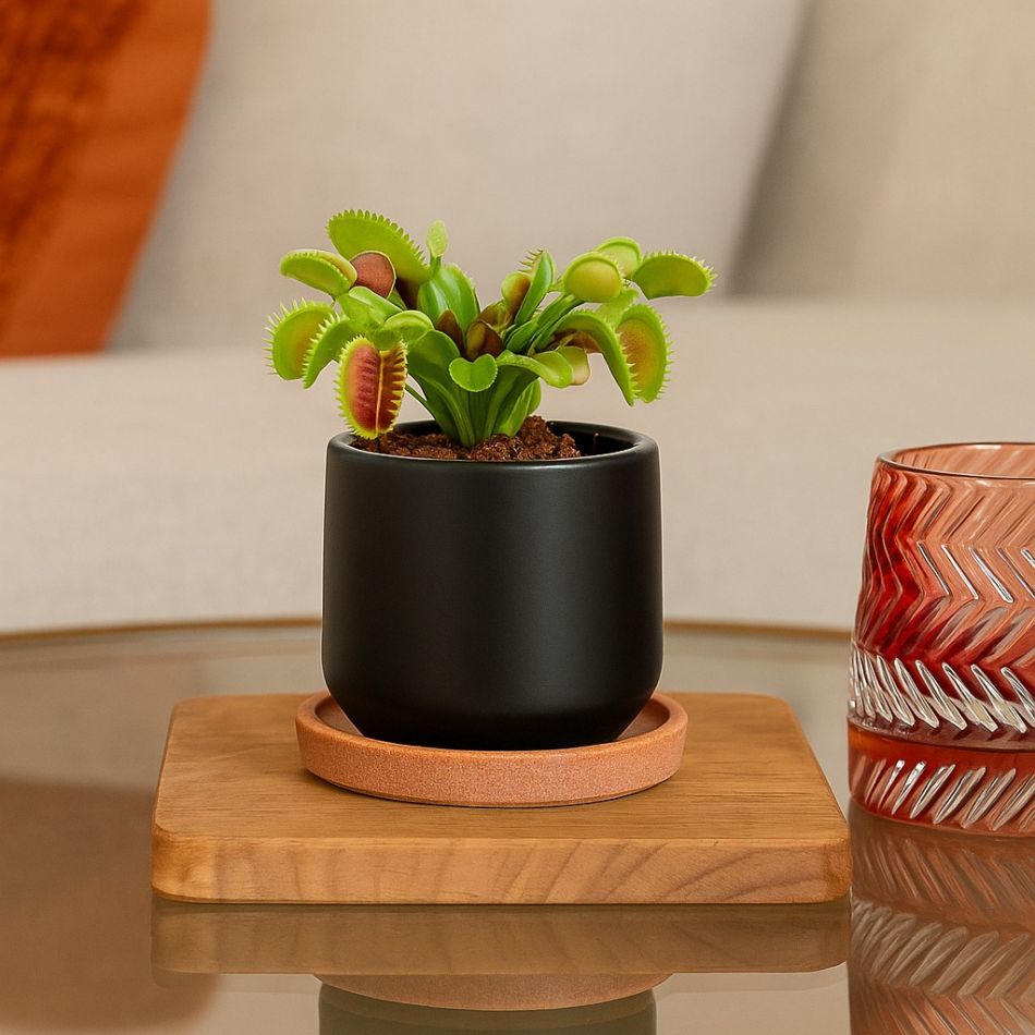 mini plantenpot zwart boedapest kopen