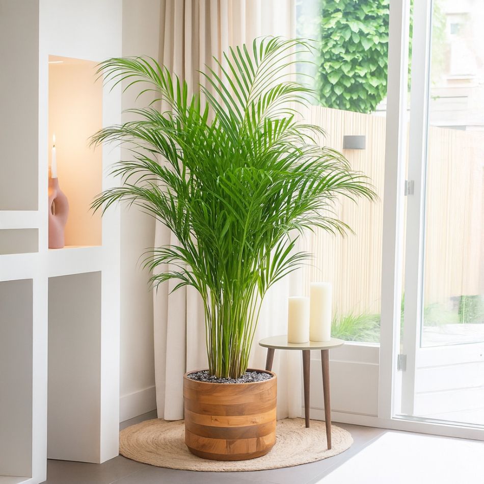 Boska - plantenpot - p24 - sfeer - 1