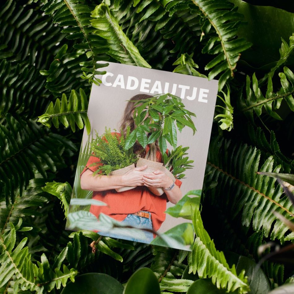 cadeaubon planten