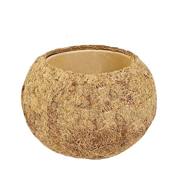 Kokodama pot
