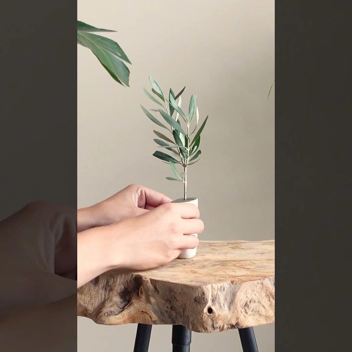 olijfboompje brievenbus video