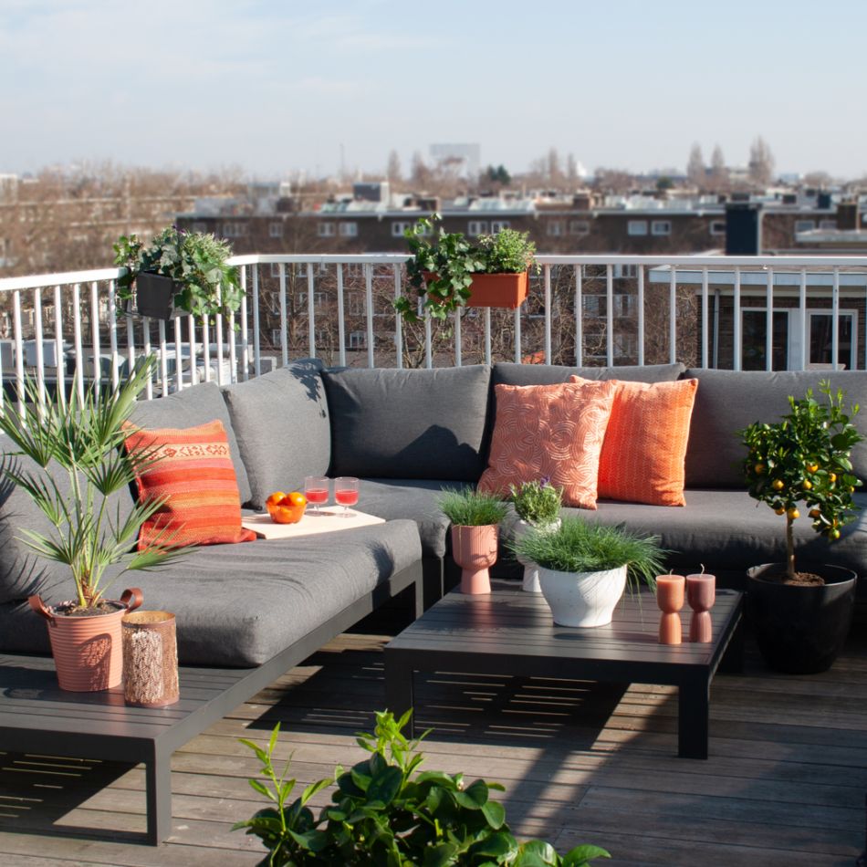 Outdoor-plants-1024 1