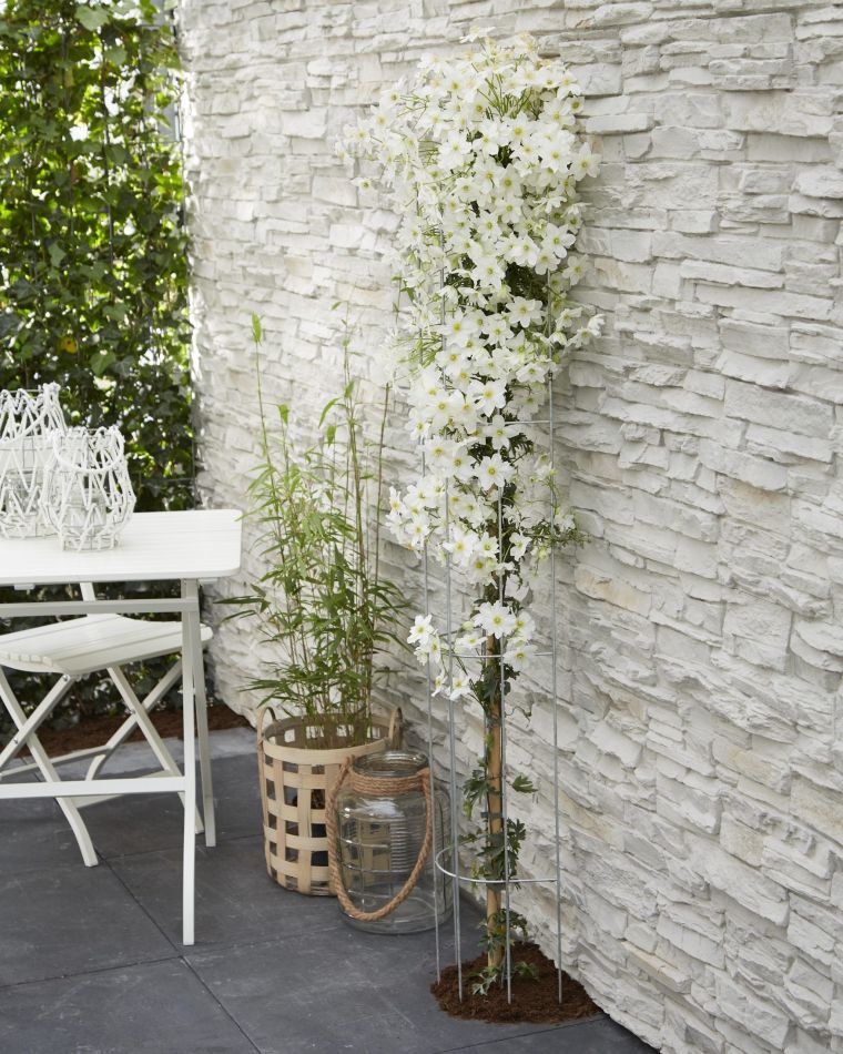 Thumbnail 6000-47-scaled 1