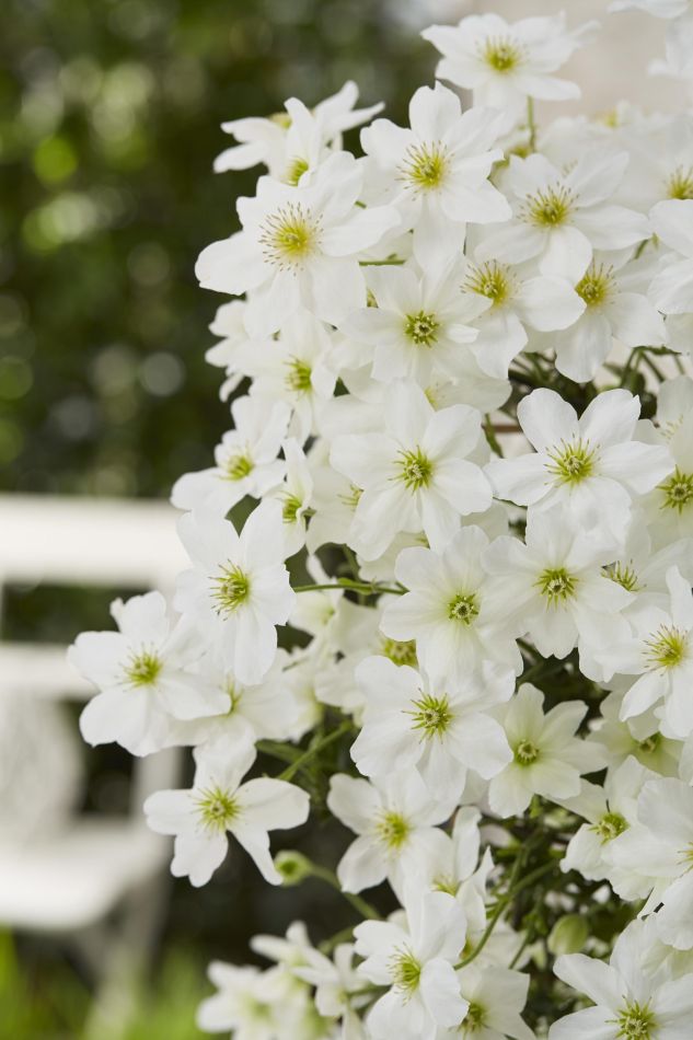 Thumbnail 6000-49-scaled 1