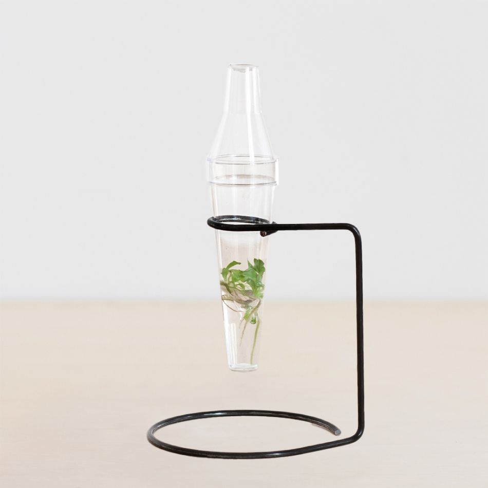 Tissue-culture-plantje-houder 1 1