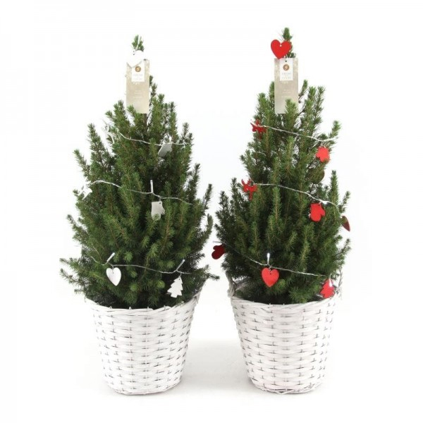 Kerstboom met verlichting - P 26 cm