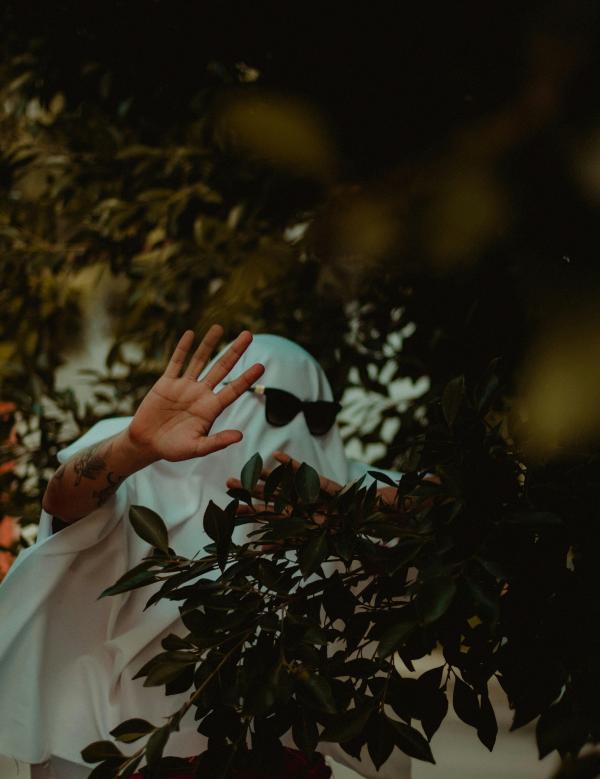 Halloween-groen: 9 “spooky” planten en potten voor een griezelig gezellig huis