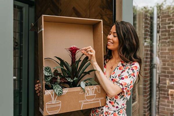 Interior Junkie x Plantje.nl: De mooiste planten voor je interieur