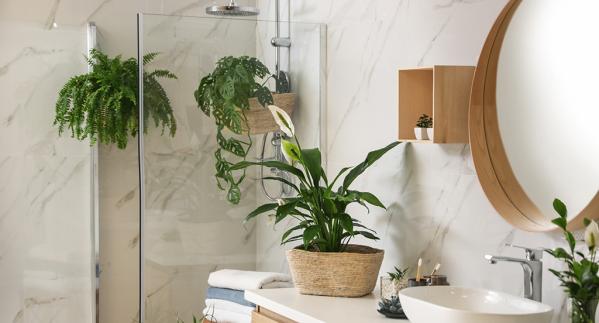 Planten voor in de badkamer: top 5