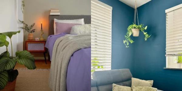 User Generated Content op Plantje.nl