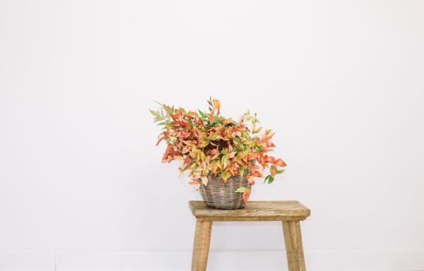 7 herfstproof stylingtips voor een warm interieur