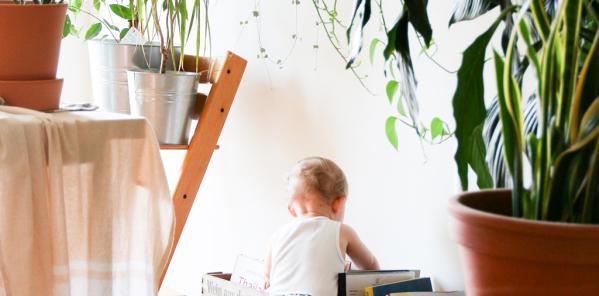 Niet giftige planten voor kinderen