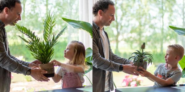 Top 10 planten cadeaus voor mannen