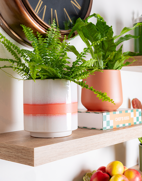 Bloempotten Bloempotten