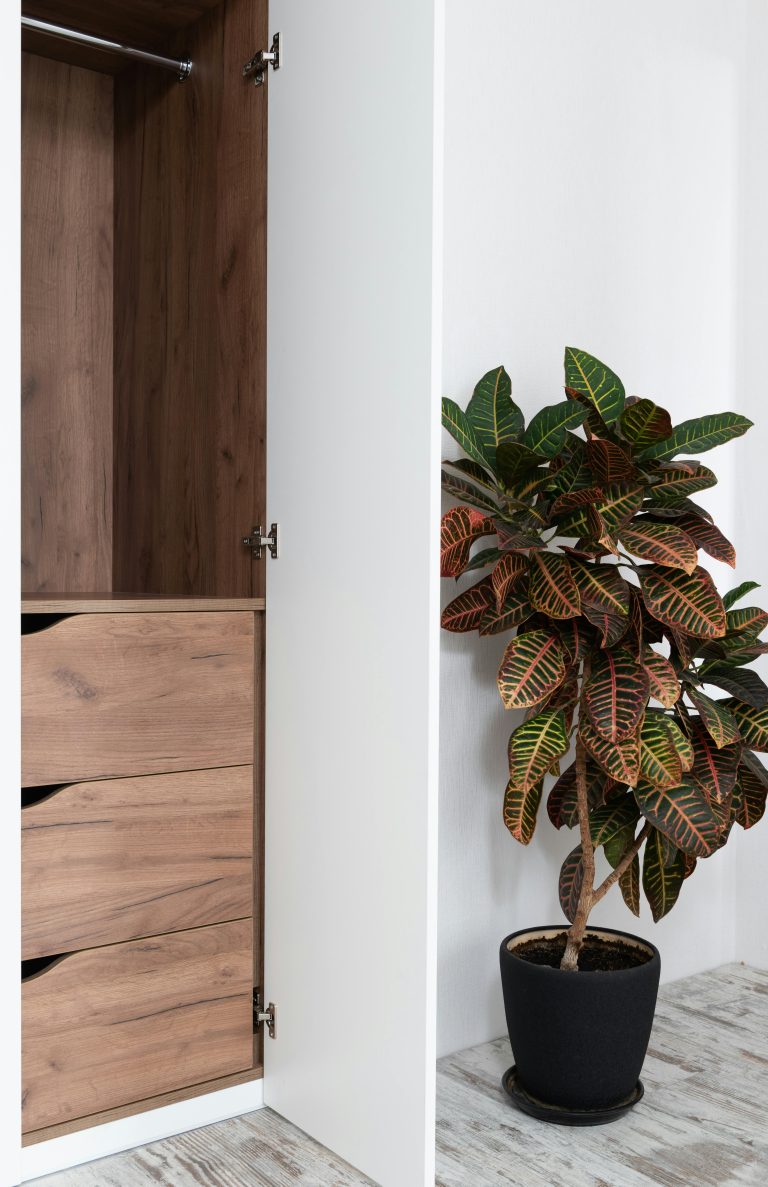 Croton verpotten Croton verpotten