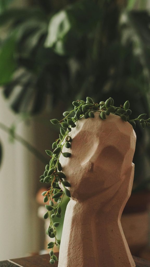 Erwtenplant voeding Erwtenplant voeding