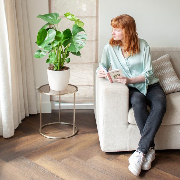 Monstera standplaats Monstera standplaats