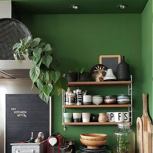Philodendron verpotten