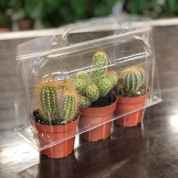 cactus verpakking