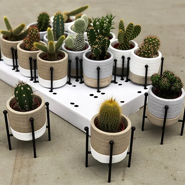 mini-cactus-fashion-pot_en_staander-sfeer