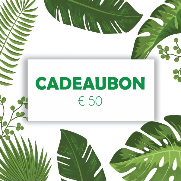 Image of Cadeaubon €50 13078