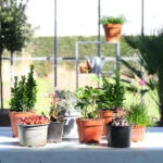 Tuin-Kneusjes-box-binnen-plantje-tuinieren-planten[1024]1
