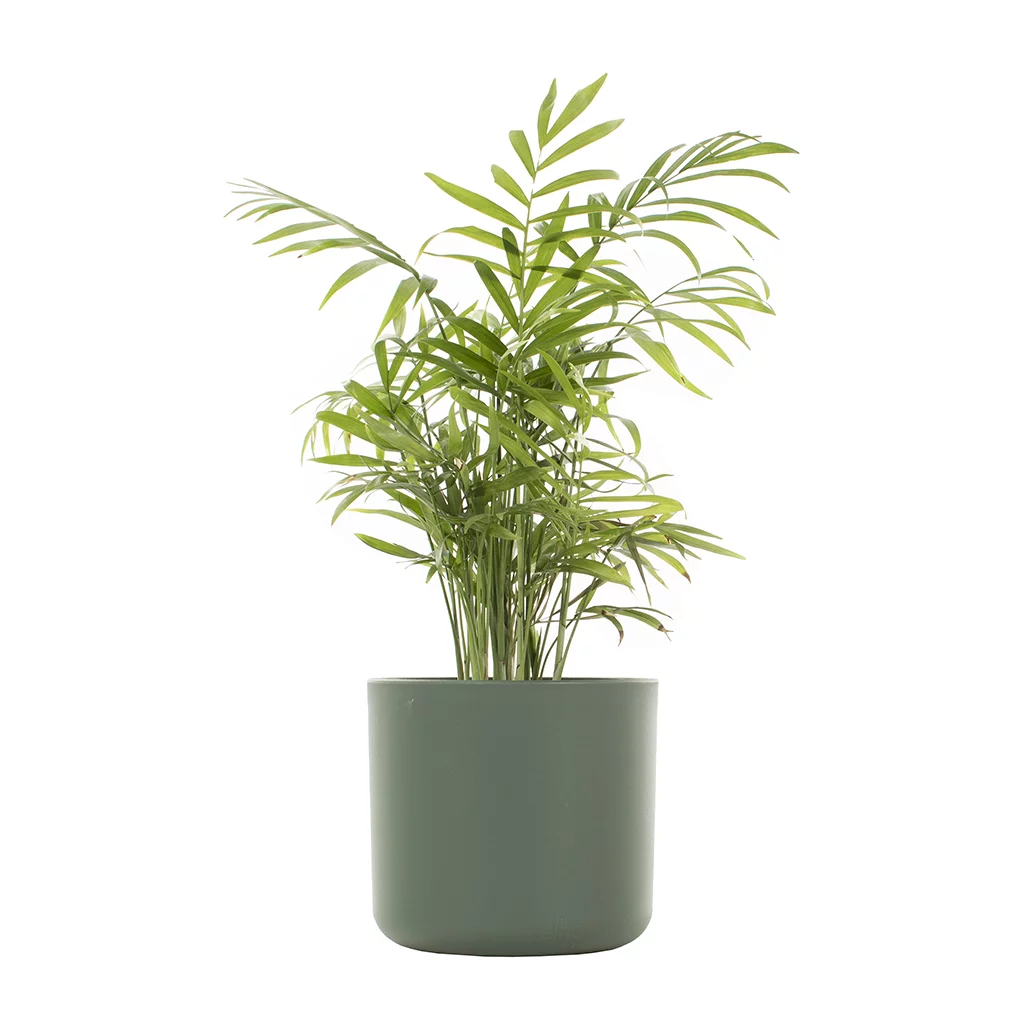 Plantenpot ‘leaf green’ – (voor potmaat 12) (6)