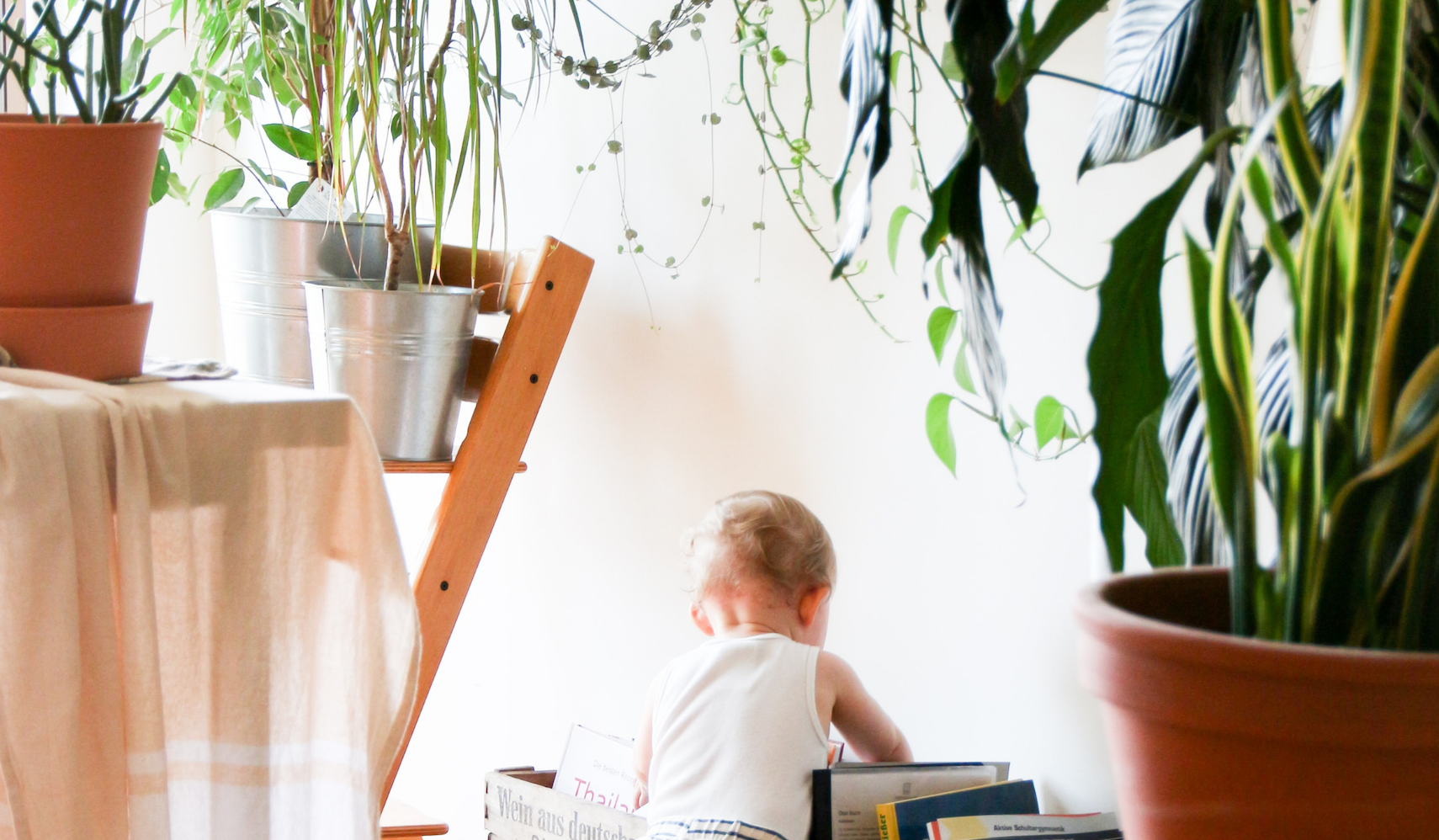 niet giftige planten voor kinderen