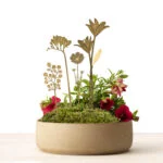Another-Studio-Brass-Bloom-Bouquet-white-terrarium-HR