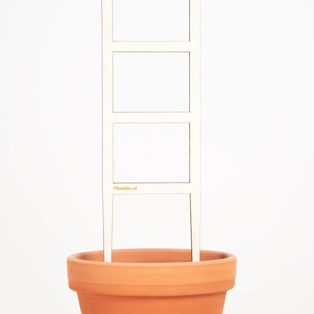 Rek ladder – 2